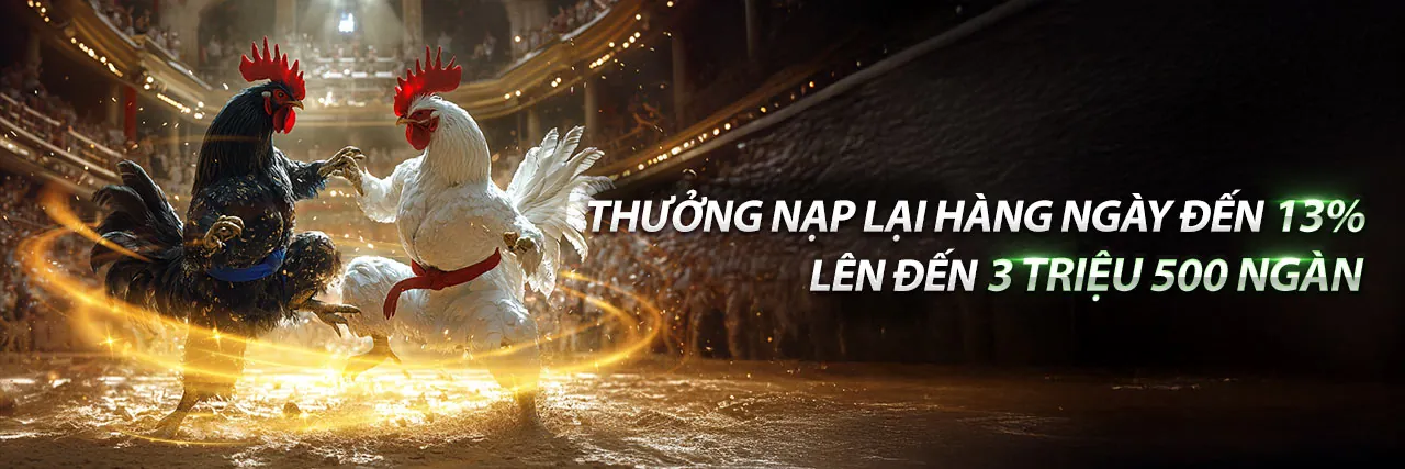 Trực Tiếp Đá Gà Thomo 13/6